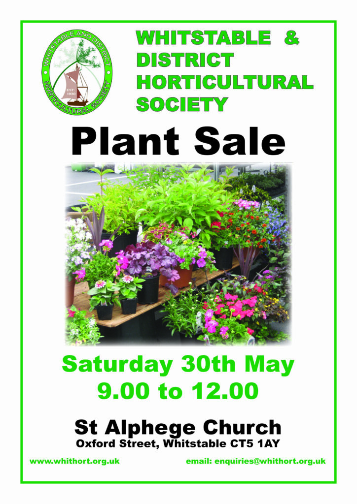 plant sale 26