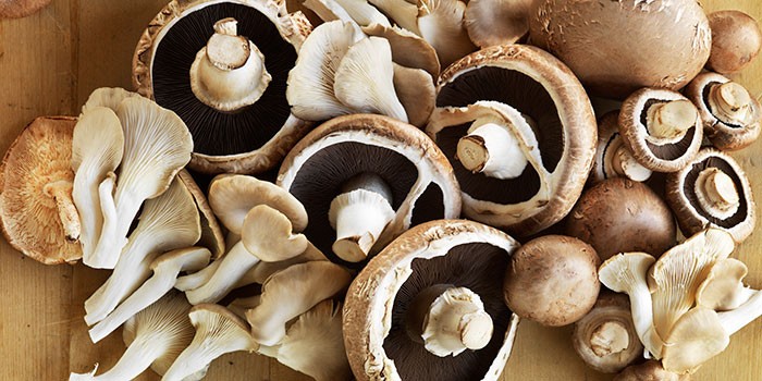 mushroom title 8e7c267
