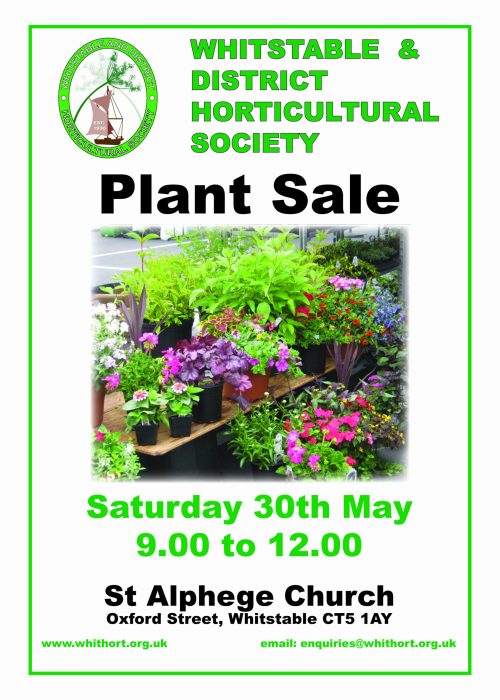 plant sale 26